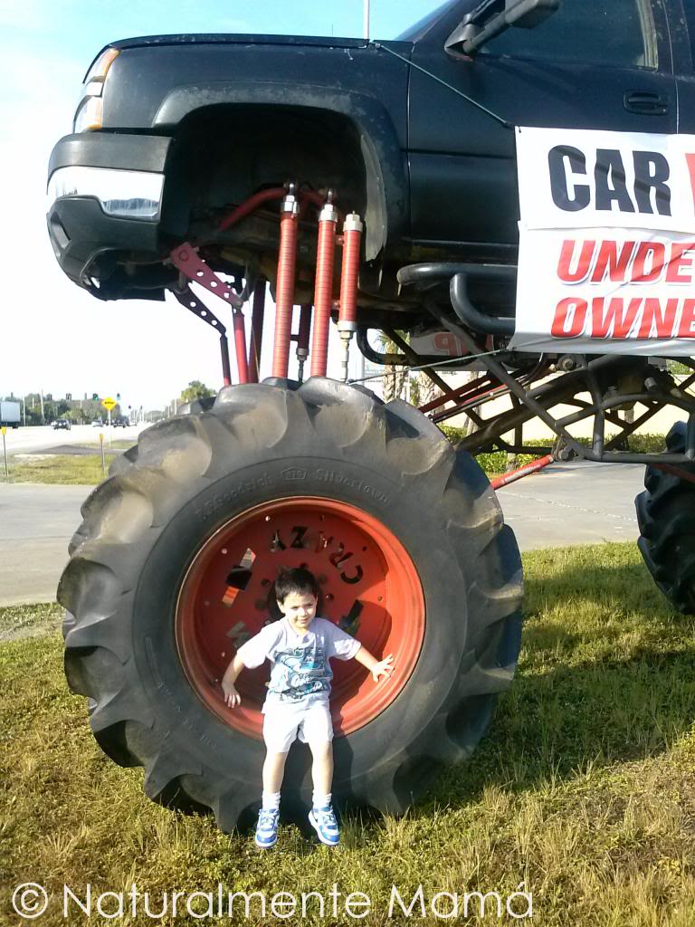 MiercolesMudoNaturalmenteMamaKungFuBabydepaseo_zps0fa7f2cb