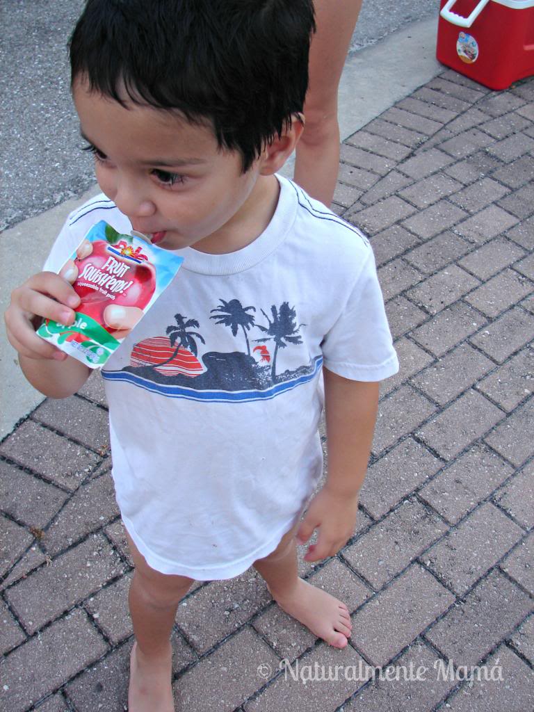 Nuevos_saches_de_fruta_DOLE_Fruit_Squishem_02_zps8520dac7