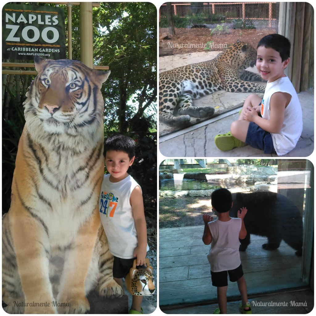 Miercoles_Mudo_En_el_Zoologico_de_Naples_Naturalmente_Mama_Kung_Fu_Baby_zps1fced534