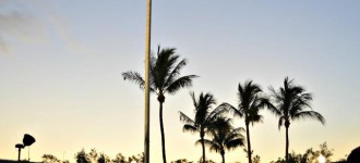 Miércoles Mudo ~ 4 de Julio