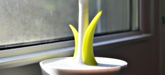 Energía Responsable al Alcance de las Manos en 5 pasos