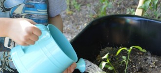 Como crear un jardín hermoso y sin esfuerzo