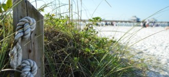 Miércoles Mudo ~ Fort Myers Beach