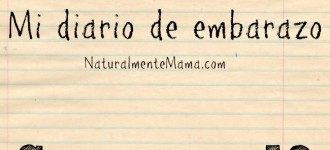 Mi diario de embarazo | Semana 19 #MiEmbarazo #MamaPorSegundaVez #MamasBlogueras #MamasTuiteras #Mama #Maternidad