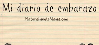 Mi diario de embarazo | Semana 29