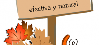 7 Consejos para una limpieza de otoño efectiva y natural