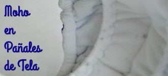 6 Maneras de tratar el Moho en Pañales de Tela