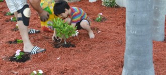 #MiércolesMudo ~ Trabajo en Equipo