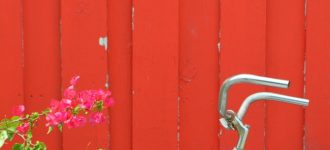 #MiércolesMudo ~ La Bicicleta