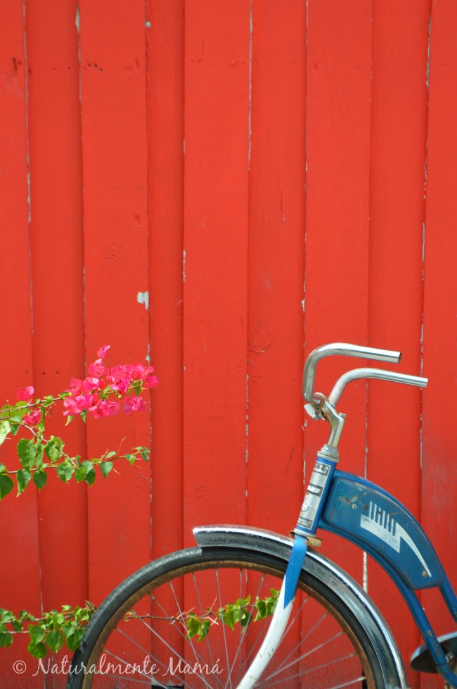 #MiércolesMudo ~ La Bicicleta