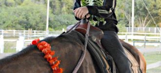 #MIércolesMudo ~ Cabalgando