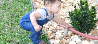 #MiércolesMudo ~ El Jardinero