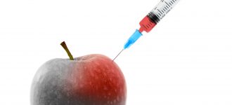 Transgénicos o GMOs